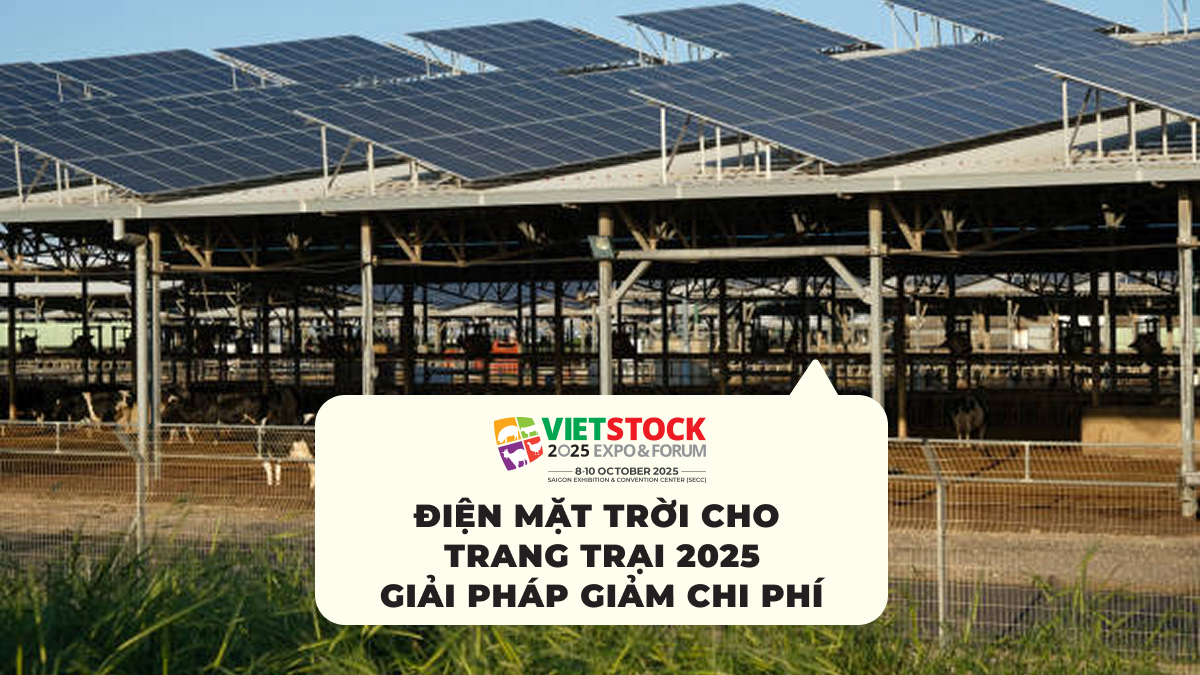 Điện Mặt Trời Cho Trang Trại 2025 Giải Pháp Giảm Chi Phí